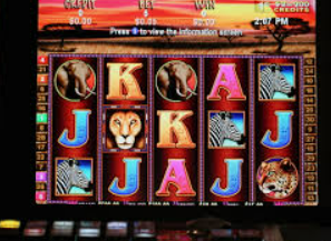 bwin必赢登录入口app官网最新版