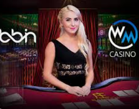 bwin必赢登录入口app官网电脑免费版